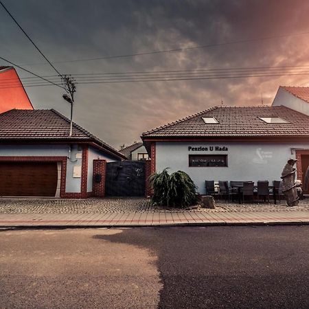 Penzion U Hada Velké Pavlovice 外观 照片