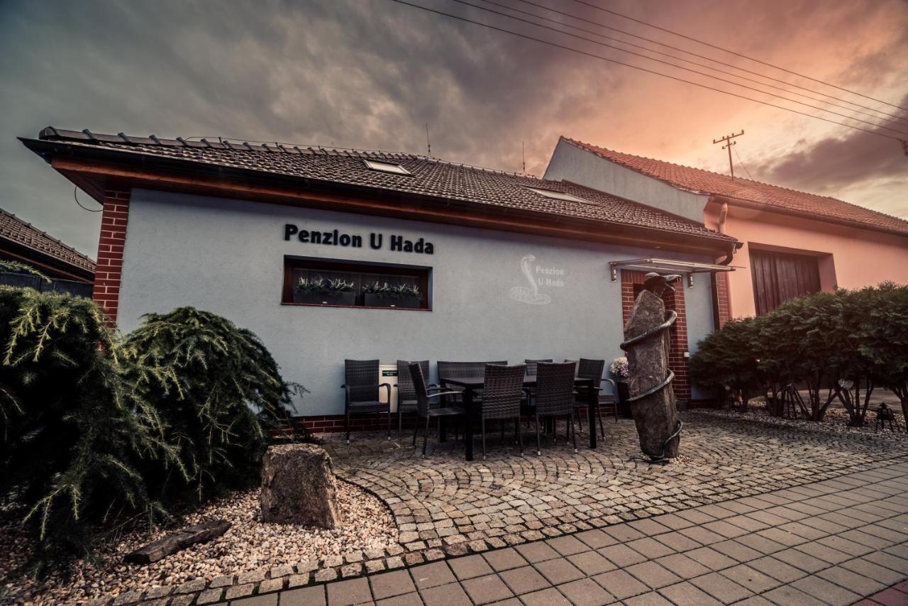 Penzion U Hada Velké Pavlovice 外观 照片
