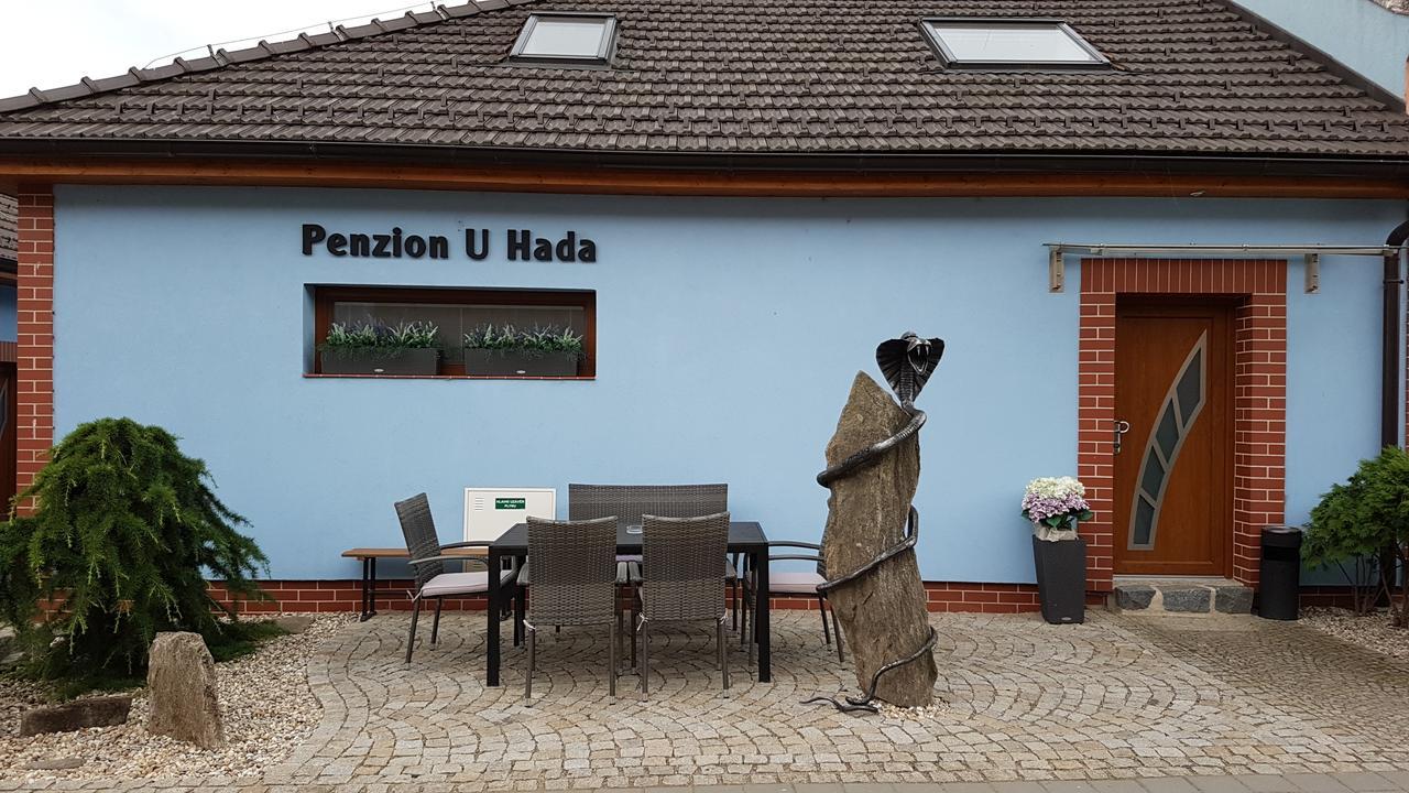 Penzion U Hada Velké Pavlovice 外观 照片